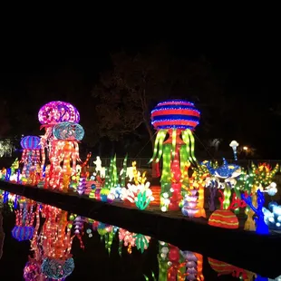Beautiful lights!