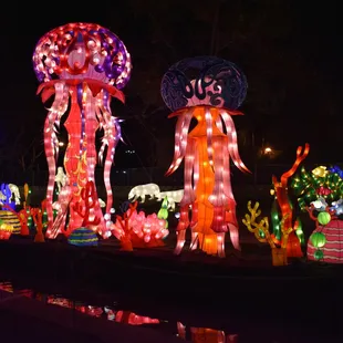 The jellyfish were stunning