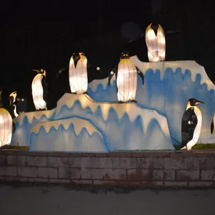 Penguins!