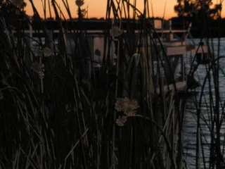 Venice Island Fireworks Display