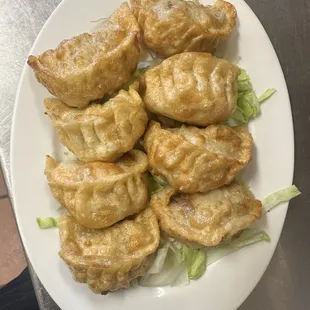 Deep fried pot stickers