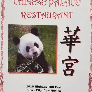 a picture of a panda