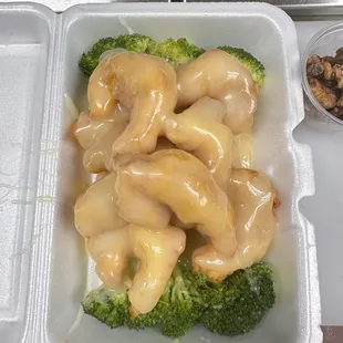 C11 Walnut shrimp