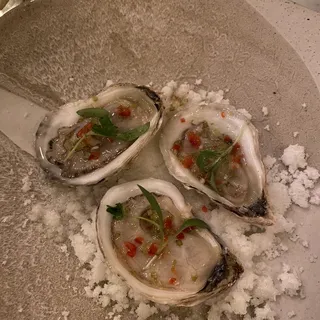 Oyster