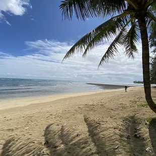 The most ideal picnic spot