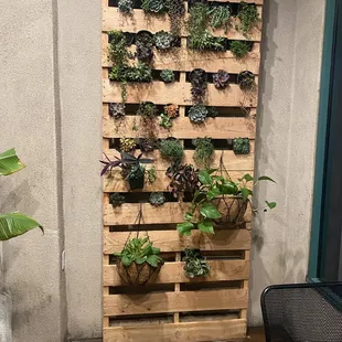 Outside patio cool idea for a pallet garden!