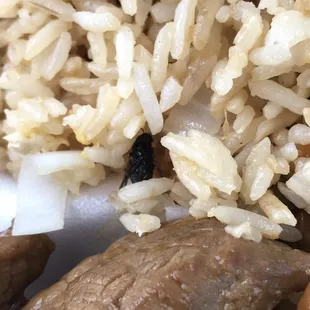 Dead fly in the fried rice