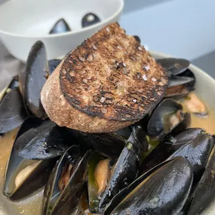 mussels