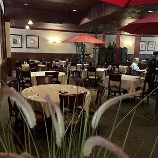 Open 11 to 9 every single day.   Chins Chinese.