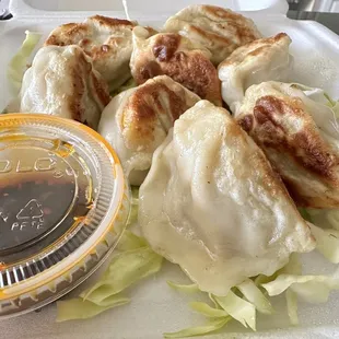 Perfect Pot Stickers!!!!!