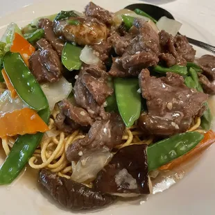 Beef Pan Fried Soft Noodles