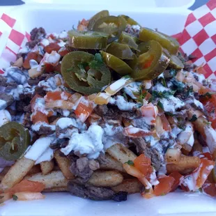 Carne asada fries
