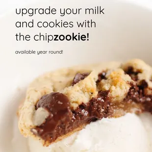 chipzookie