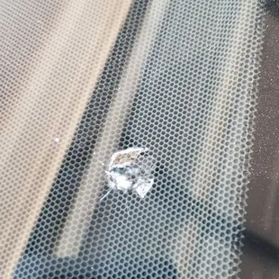 Before... it was a little bigger than the size of a quarter