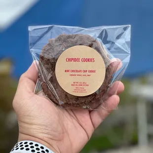 Mint chocolate Chip Cookie