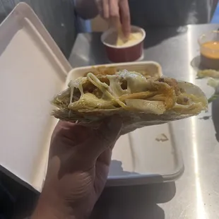 Half chicken, half steak Quesadilla