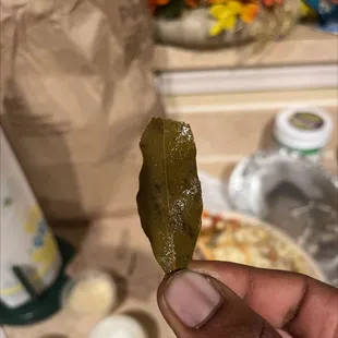 This is a Bayleaf people! It's an herb  It's supposed to be in your food