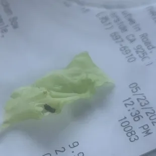 There  was a fly in my food