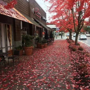 Beautiful store front during the fall.