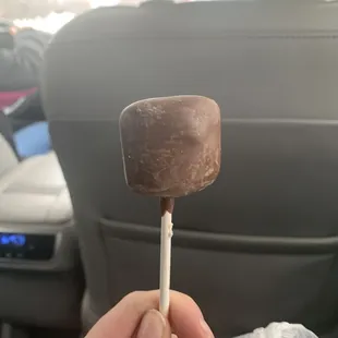 Marshmallow chocolate! So good!!!!!