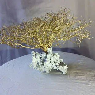 A centerpiece of desert dried plant and secret formation from large sink hole near Vegas. Partner DK Smith 725 281 0787