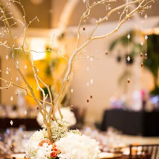 Photo Credit: Jinsook Thomas Photography