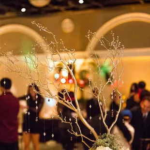 Photo Credit: Jinsook Thomas Photography