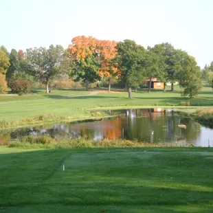 #15 tee shot