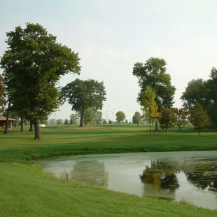 #15