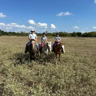 Embrace the open fields and fresh air with our guided horseback tours. Book your journey today!  #EquestrianEscape #OutdoorFun