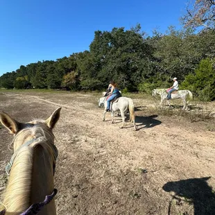 Experience the thrill of the open trail! Join us for unforgettable horseback journeys.  #TrailRides #NatureLovers