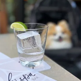 Fortaleza Blanco Still Strength | $22/shot + $1 for ice