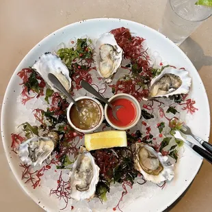 1/2 Dozen Oysters | $25 (Tesoro Highball - $13)
