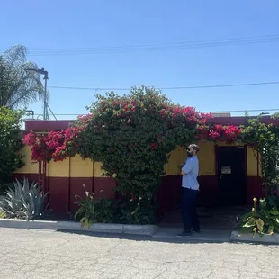 Even the parking is cute