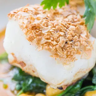 Roasted Cod: Papadam | Coconut | Fenugreek | Curry Leaf | Ginger Greens
