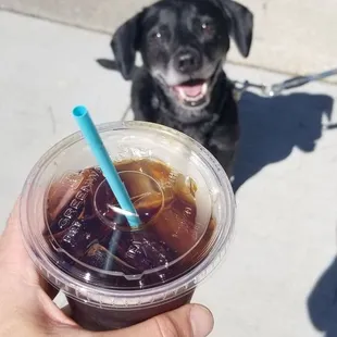 iced coffee to go