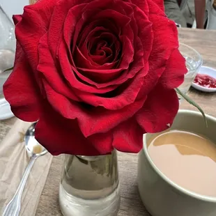 Beautiful flower on table