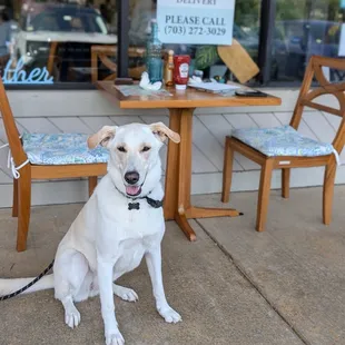 They set up a table outside for us