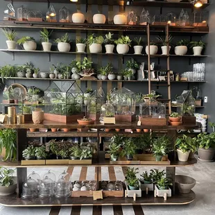 Gorgeous layout