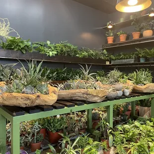 Beautiful and creative planters