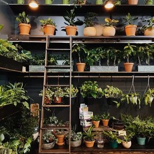 The cutest decor