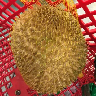 Durian-stinkily good!