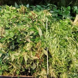 a pile of fresh herbs