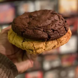 a hand holding a chocolate cookie