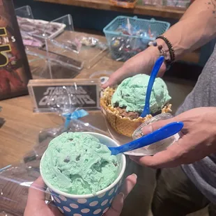 The best and most rich mint choco chip!