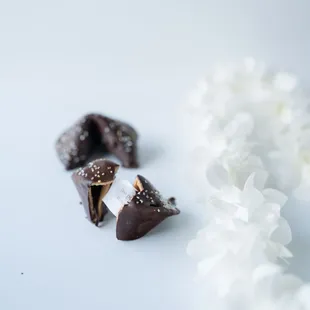 Seasonal Item: Dark Chocolate Fortune Cookie with &quot;You&apos;re sweet, inside and out!&quot; reminder