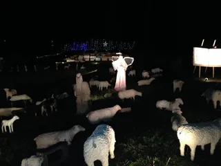 Sundar Shadi Holiday Display