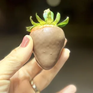 Belgian 1 Piece Chocolate Covered Strawberries