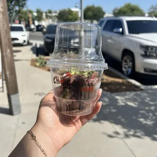 1 Piece Chocolate Covered Strawberries