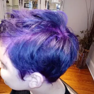 Cut her short and did a beautiful purple.  By Diane